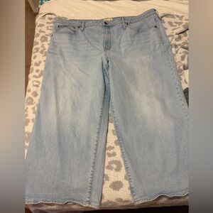 Madewell Plus Size Wide Leg Crop Jean